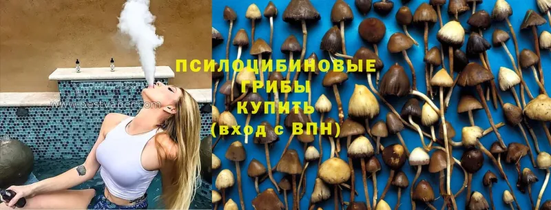 Псилоцибиновые грибы Magic Shrooms  Вичуга 